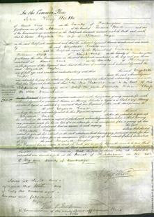 Court of Common Pleas - Elizabeth Taylor-Original Ancestry