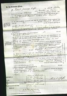 Court of Common Pleas - Elizabeth Heywood-Original Ancestry