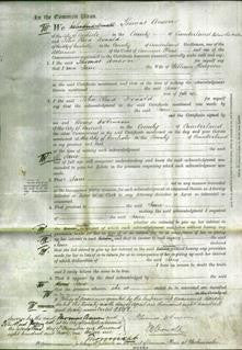 Court of Common Pleas - Jane Hodgson-Original Ancestry