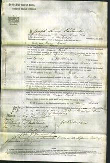 Court of Common Pleas - Maria Horth-Original Ancestry