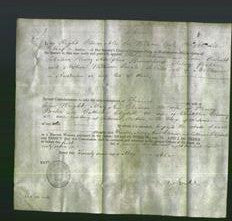 Appointment of Special Commissioners - Philip Johnson, John Woolcott, Henry Adolphus Bronckhurst and Arthur William Smale-Original Ancestry