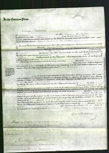 Court of Common Pleas - Hannah Daskin-Original Ancestry