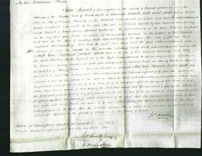 Court of Common Pleas - Ann Manning-Original Ancestry