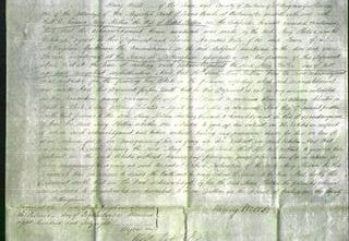 Court of Common Pleas - Mary Shelton-Original Ancestry