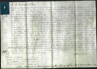 Court of Common Pleas - Jane Prater Martyn-Original Ancestry