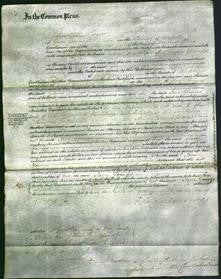 Court of Common Pleas - Jane Youngs-Original Ancestry