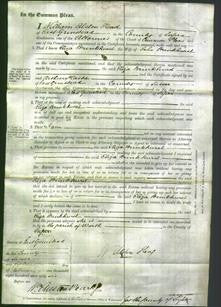 Court of Common Pleas - Eliza Brinkhurst-Original Ancestry