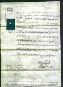 Court of Common Pleas - Jane Ferryman-Original Ancestry