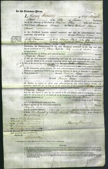 Court of Common Pleas - Frances Swain-Original Ancestry