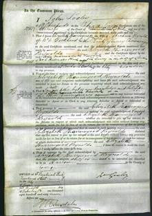 Court of Common Pleas - Elizabeth Thorrowgood Reynolds-Original Ancestry