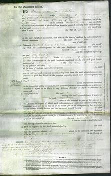 Court of Common Pleas - Anne Jones-Original Ancestry