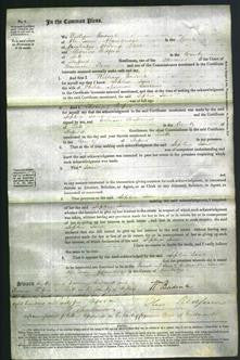 Court of Common Pleas - Sophia Jane Lawrence-Original Ancestry