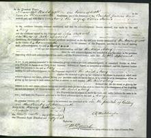 Court of Common Pleas - Mary Harris-Original Ancestry