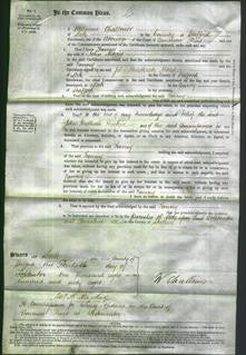 Court of Common Pleas - Fanny Morris-Original Ancestry