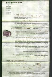 Court of Common Pleas - Catherine Amy Hiscock-Original Ancestry