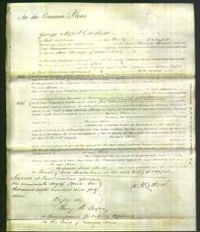 Court of Common Pleas - Ann Davy-Original Ancestry