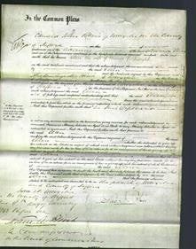 Court of Common Pleas - Ellen Pegg Cartwright-Original Ancestry