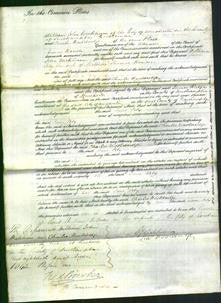 Court of Common Pleas - Jane Orby Harrison-Original Ancestry