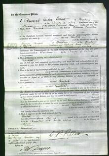 Court of Common Pleas - Rachel Franklin-Original Ancestry