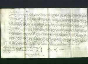 Court of Common Pleas - Frances Ball-Original Ancestry