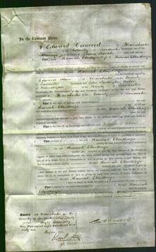 Court of Common Pleas - Hannah Ellenthorpe-Original Ancestry