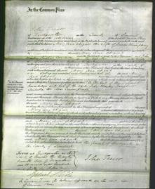Court of Common Pleas - Mary Ann Abigail Humphrey-Original Ancestry