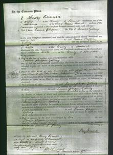 Court of Common Pleas - Emma Phippen Gilling-Original Ancestry