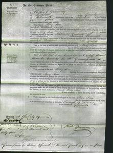 Court of Common Pleas - Mary Ann James-Original Ancestry