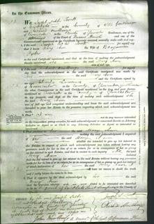 Court of Common Pleas - Mary Ann Porter