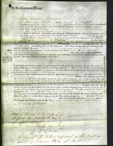 Court of Common Pleas - Hannah Potts and Frances Knight-Original Ancestry