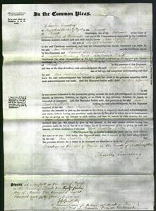 Court of Common Pleas - Ann Isabella Hollis-Original Ancestry