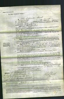 Court of Common Pleas - Frances Cob-Original Ancestry