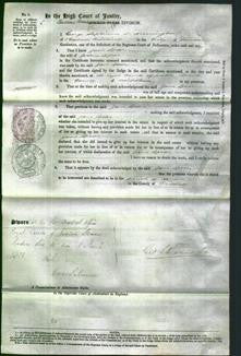 Court of Common Pleas - Jane Spear-Original Ancestry