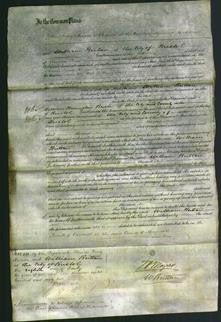 Court of Common Pleas - Ann Jones-Original Ancestry