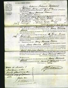 Court of Common Pleas - Mary Hannah Warren-Original Ancestry