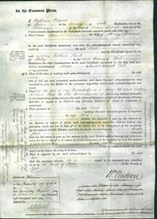 Court of Common Pleas - Jane Brown-Original Ancestry