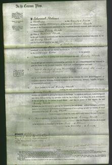 Court of Common Pleas - Emily Buck-Original Ancestry