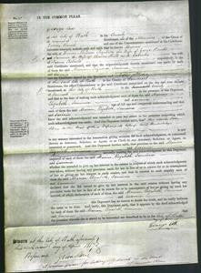 Court of Common Pleas - Mariona Milson, Elizabeth Banks, Jemima Hill and Lavinia Roberts-Original Ancestry