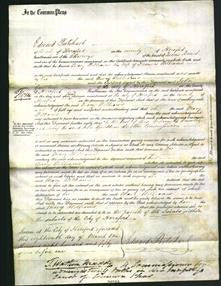 Court of Common Pleas - Mary Williams-Original Ancestry