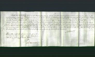 Deed by Married Women - Mary Partington-Original Ancestry