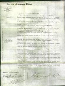 Court of Common Pleas - Mary Cumberbeach-Original Ancestry