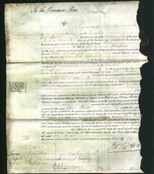 Court of Common Pleas - Ellen Parker-Original Ancestry