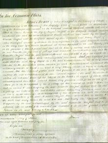 Court of Common Pleas - Henrietta Trafford-Original Ancestry