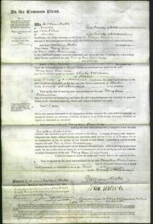 Court of Common Pleas - Mary Ann Bainbridge-Original Ancestry