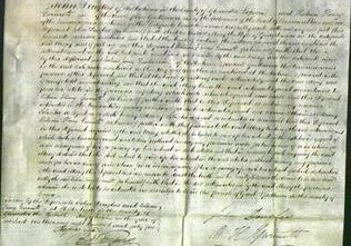 Court of Common Pleas - Mary Brown-Original Ancestry