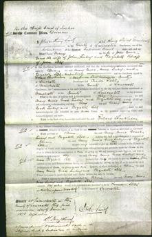 Court of Common Pleas - Mary Cowie, Grace Finling and Elizabeth Lees-Original Ancestry