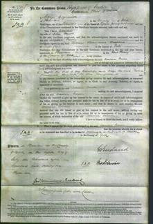 Court of Common Pleas - Amelia Gelder-Original Ancestry