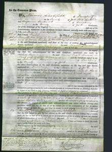 Court of Common Pleas - Rachel Porritt, Harriet Stead and Lortitia Scholefield-Original Ancestry