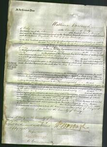Court of Common Pleas - Elizabeth Beeland-Original Ancestry