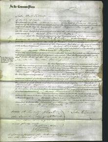 Court of Common Pleas - Harriet Rosser-Original Ancestry